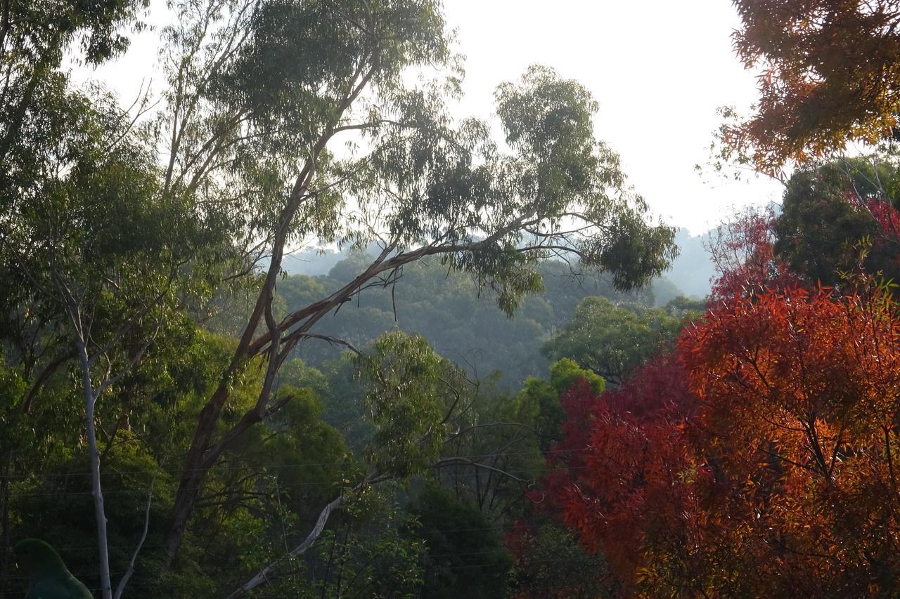 Yarra Ranges Country Apartment Mount Evelyn Bagian luar foto