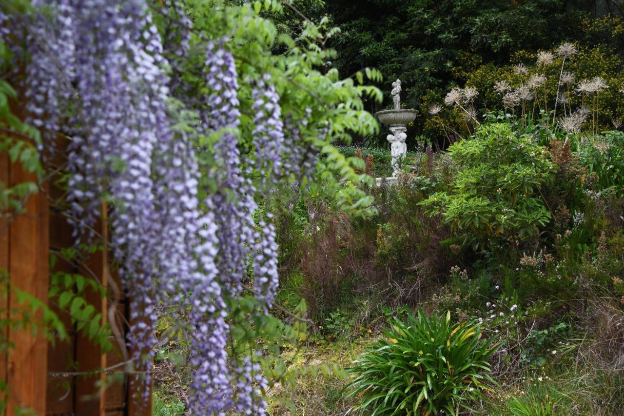 Yarra Ranges Country Apartment Mount Evelyn Bagian luar foto